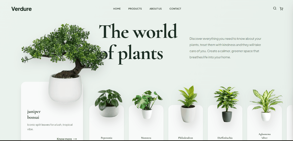 I will design and develop custom full stack web applications and websites